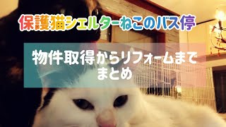 【保護猫シェルターねこのバス停】物件取得からリフォームまとめ