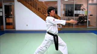 Green Belt - Ten Basic Motions