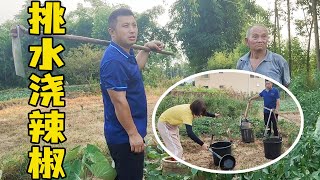 雨水不足，辣椒地干旱绝收，勇哥夫妻俩挑水浇地，男女搭配干活不累！【乡野勇哥】