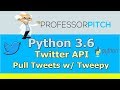 [Beginners] Using the Twitter API