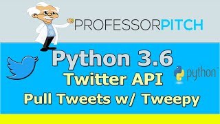 [Beginners] Using the Twitter API