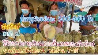 ร้านเฮียรักษ์ อาราเบ้ !!ลีลาการปอกทุเรียนแบบขั้นเทพ ปอกวันละ 500 โล ขายดีที่สุดในตลาดธรากร EP.89