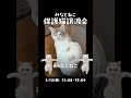 保護猫団体みなとねこでは、1 12 日 芝浦にて、保護猫譲渡会を開催します！ご来場をお待ちしております❤️ みなとねこ 里親様募集 保護猫 保護猫譲渡会