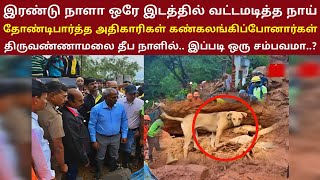 இரண்டு நாளாக ஒரே இடத்தில் வட்டமிட்ட நாய் தோண்டி பார்த்த அதிகாரிகள் கண்கலங்கிப்போன சம்பவம் | ThiraiPa