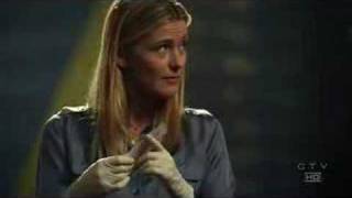 CSI: Nick/Sofia - In Love Again