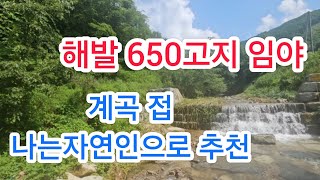 매물번호 307번 해발650고지 나는자연인으로 추천임야