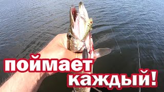 СУПЕР ПРИМАНКА Новичку ! ПОЙМАЕТ КАЖДЫЙ!!! Спиннинг для начинающих. Рыбалка на щуку