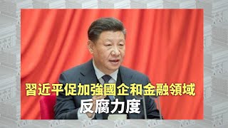 《有報天天讀》習近平促加強國企和金融領域反腐力度｜daily news｜China｜20230928