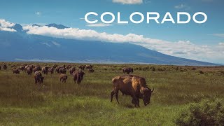 Momentum Adventure | Our Time in Colorado