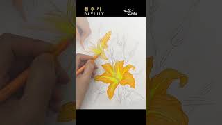 걱정을 없애주는 꽃 | 원추리(Daylily) 색연필 그리기 | 꽃그림 보태니컬아트 배우기