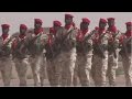 Chad, Niger forces kill 123 Boko Haram in a crackdown