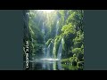 Tranquil Waters