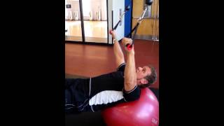 Chest, Back, and Core Exercise Sequence / Free Motion Dual Cable Machine with Trainer Tom Wildt