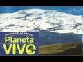 Planeta Vivo - Avenida dos Vulcões