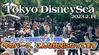 【ノーカット版】東京ディズニーシー 2023.2.11の様子 / Today’s Tokyo DisneySea on February 11th 2023 : Uncut version