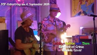 Lieblingsfarben und Tiere - Element of Crime Ukulele Cover Live beim POP-Geburtstag am 6. Sept. 2024