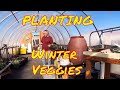 Planting Winter Crops In The Off Grid Greenhouse