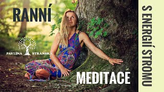 Ranní meditace| Vnitřní síla | Energie stromu a světla| Hluboké uvolnění