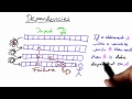 Dependencies - Software Debugging