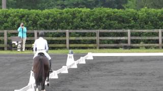 TeamWallace's Ultimate Timing Dressage at Poplar Place Farm