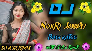 🥀NokRi JawAy bagi Kate___🔸new santhali traditional 🔸DJ song 2024🥀 Mix by DJ ARMAN🥀 DJ SURENDRA