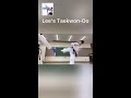 lee’s taekwon do 태권도 itf テコンドー　lst shorts