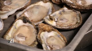 21Country: Jack's Oyster Pit