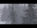 relaxing snowfall ~ heavy falling snow u0026 the best relax music