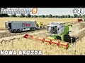 Selling soybean straw bales, harvesting oats | Nowa Bruzda | Farming simulator 19 | Timelapse #34