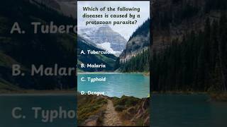 🌊 Quiz time | NEET | PREVIOUS YEARS IMP QUESTION