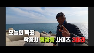 [멋진애TV] 지금 동해바다는 학꽁치 풍년 now eastsea is spipefish rich time [NicechildTV]