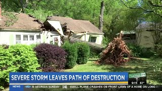 Tree uprooted by storm splits house in two in DeKalb County