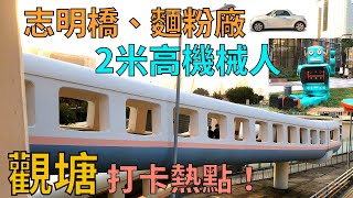 【自駕日常】觀塘3大靚景熱點｜遊車河｜志明橋｜親子｜打卡｜賞花｜香港自駕｜假日好去處