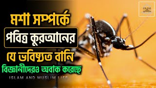 মশা সৃষ্টির রহস্য কি? আল্লাহতালা মশা কেন সৃষ্টি করেছিলেন! Mystery of Mosquito Creation Islamic Video