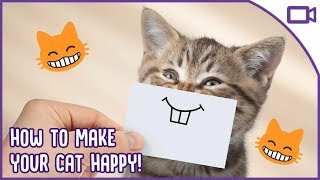 How to Keep Your Cat Happy! Cat Happiness 101