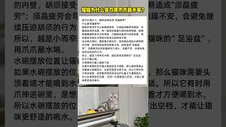 猫咪为什么喜欢用爪子沾水？#猫 #cat #pets #萌宠 #宠物 #cute #猫咪