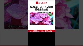 箱根登山鉄道の旅。この時期、車窓に触れるほどに咲き誇る“あじさい”の中を進む電車は、特に“あじさい電車”の愛称で親しまれています。（2022年6月29日）#Shorts