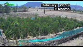 Time lapse video of the Forest created in Satara, Maharashtra.