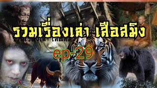 รวมเรื่องเล่า เสือสมิง ep-29