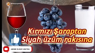 kırmızı şaraptan siyah üzüm rakısı yapımı