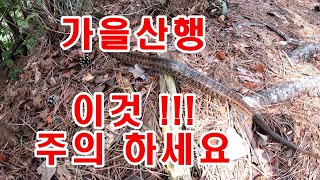 충북에서 가장 오래된 사찰은 품은 산/대청호 조망 최고의 뷰/청남대 연계 산행지