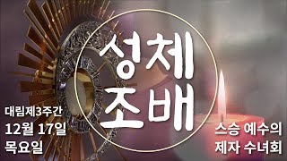 성체조배_대림 셋째주간 12월 17일 목요일_강승현 베드로 신부_스승 예수의 제자 수녀회