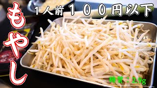 【安い・簡単・低糖質】１人前１００円以下！「ねぎともやしの卵とじ」の作り方