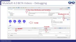 Mule4 Debugging Mule Application