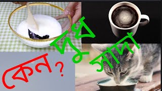 দুধ সাদা দেখায় কেন?#দুধ।#milk |