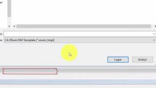 11: Databases: E/R-modelling - Configuring ERWIN and creating ERWIN-templates