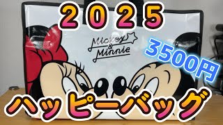 【2025年最新】 ディズニーハッピーバッグ2025、買って損なし？全貌を公開！豪華すぎる中身に驚き！