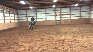 2010 Appendix QH mare