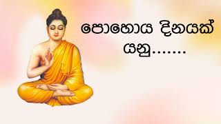 පොහොය දිනයක් යනු..|what is poya day|special12 days for buddhists|