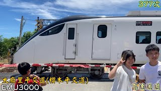 2022/8/6 太麻里平交道(櫻木平交道) 377次 EMU3000(3005/3050) 高速通過